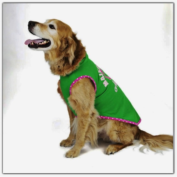NWT Vibrant Life "Majestically Awkward" Dog Hoodie Size Small Dogs up to 20 lbs - Picture 3 of 16